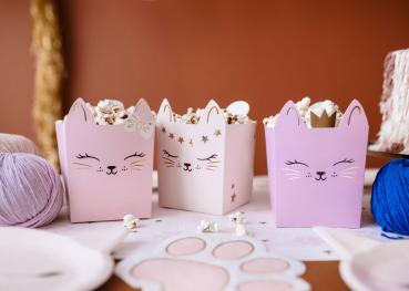 Cats Snack Boxen